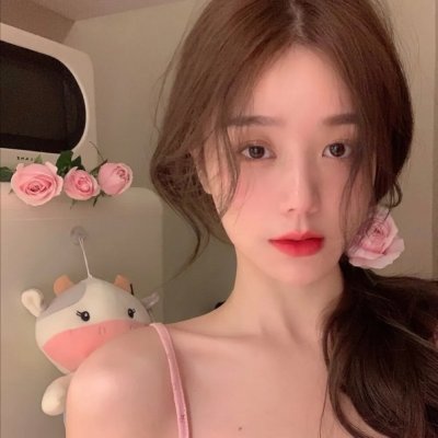 烟花女驼龙